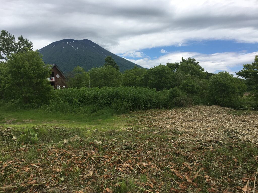Niseko5