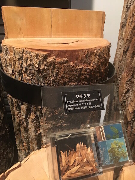 Wood10