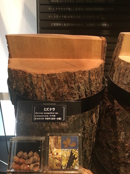 Wood12