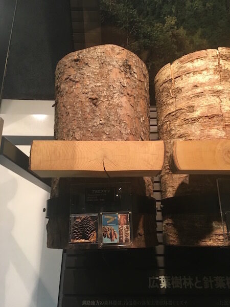 Wood13