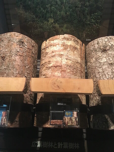 Wood14