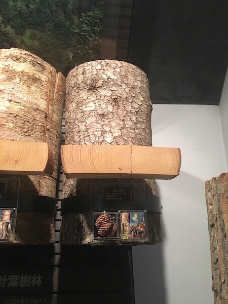 Wood15