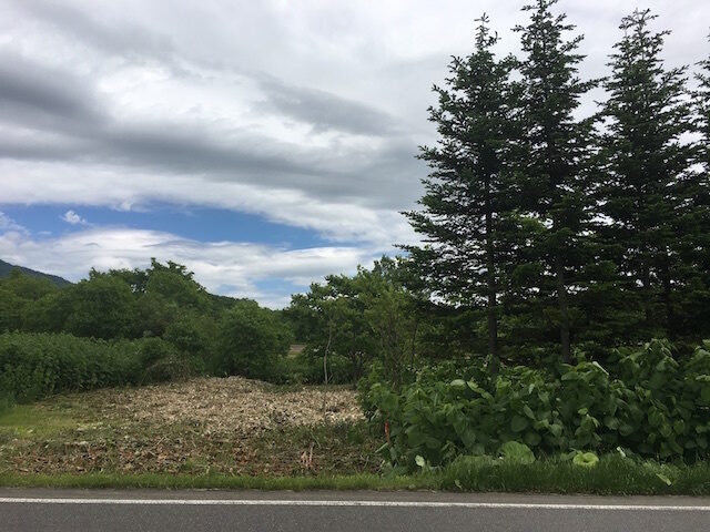 Niseko2