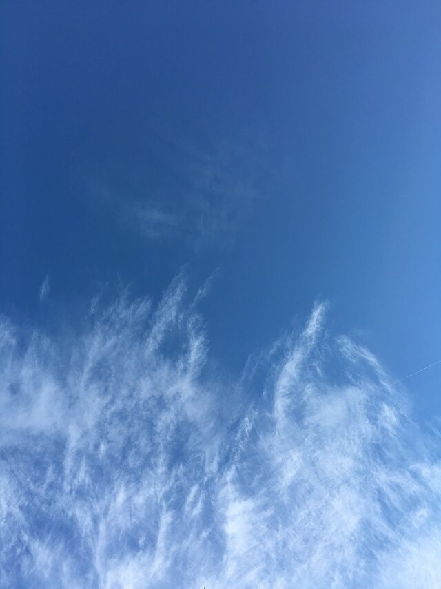 タッチとギュ