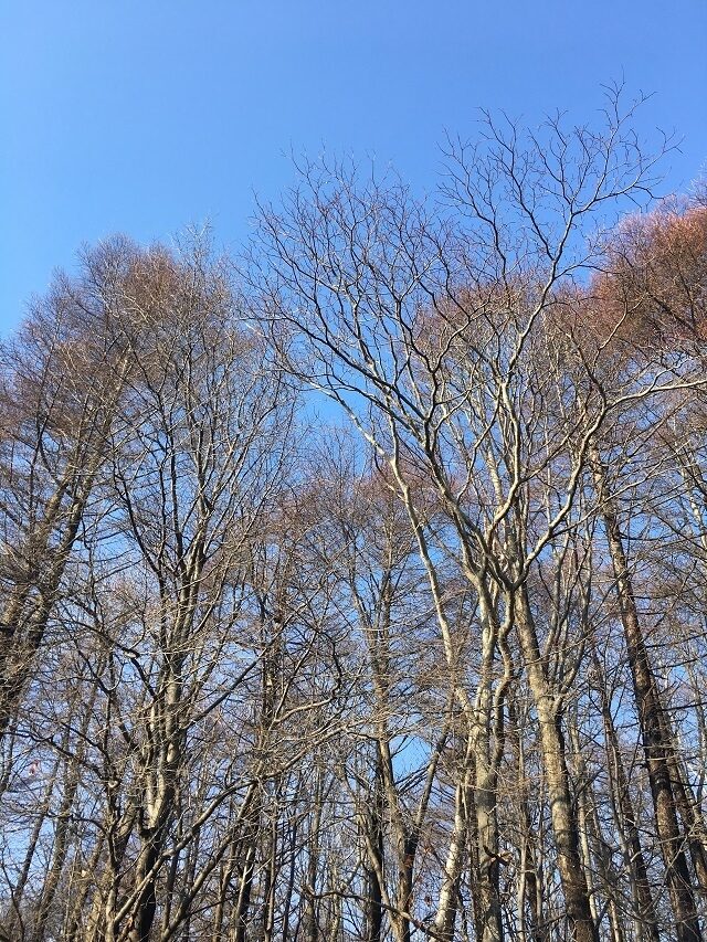 なんと、まあ！