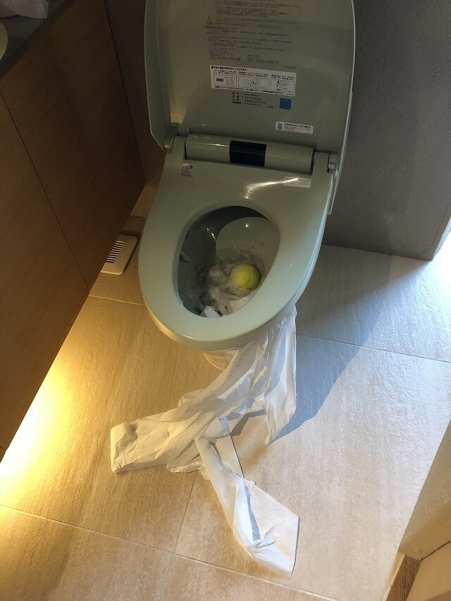 今日は何を・・・4