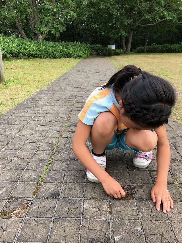 自由だ～！5