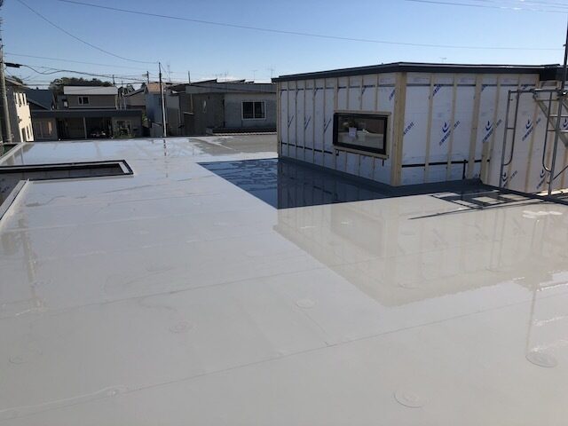 Doutou 091904