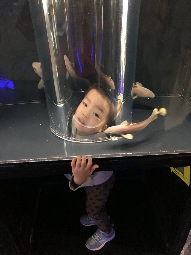 甘い誘惑6