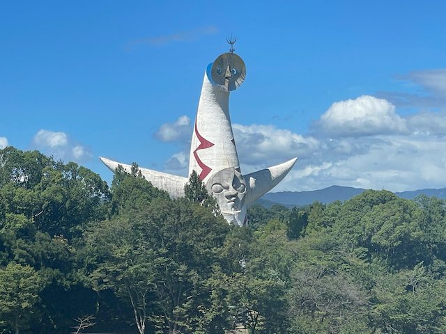 IMG 3100