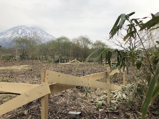 Mount Yōtei1