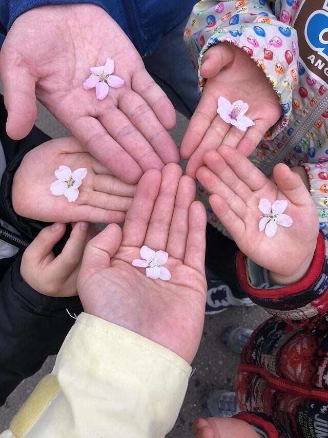 過去最高の3