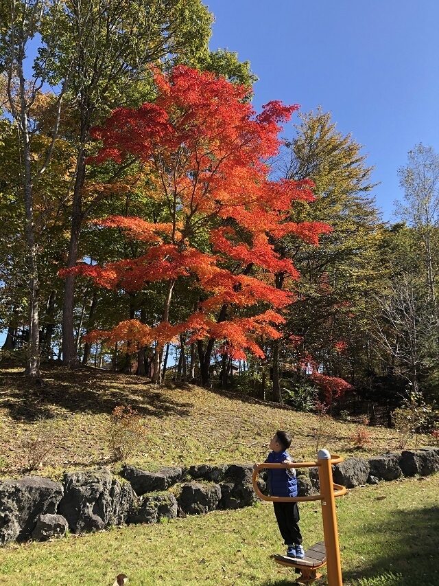 過去最高の38
