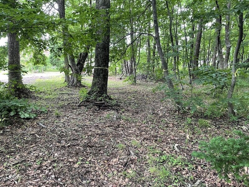 Img 7117