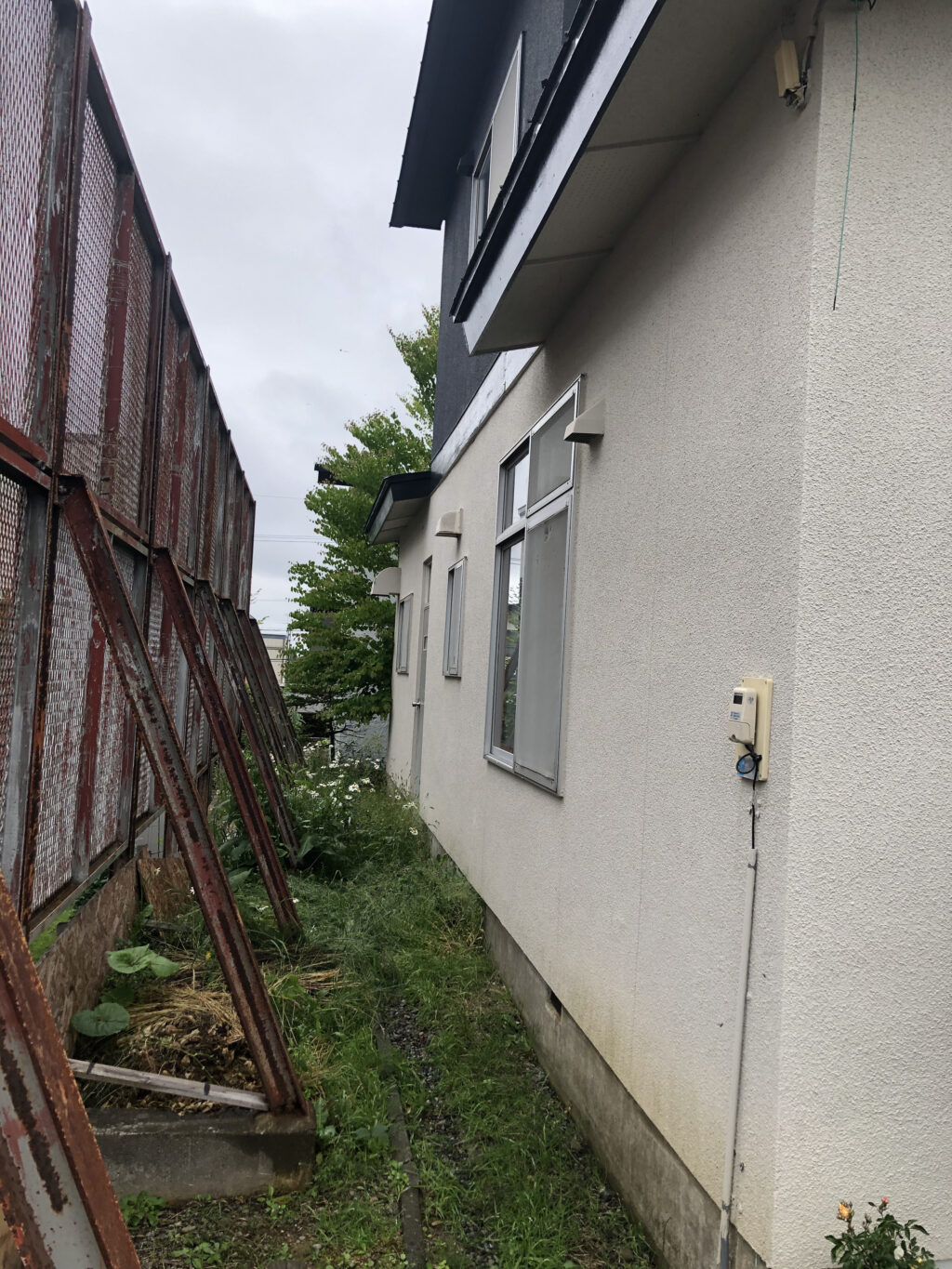 Img 7244