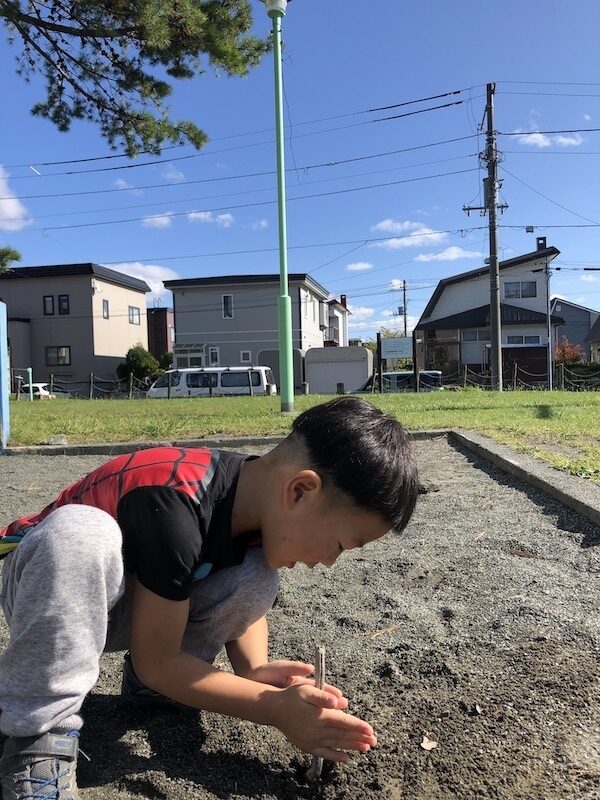 コボってる５