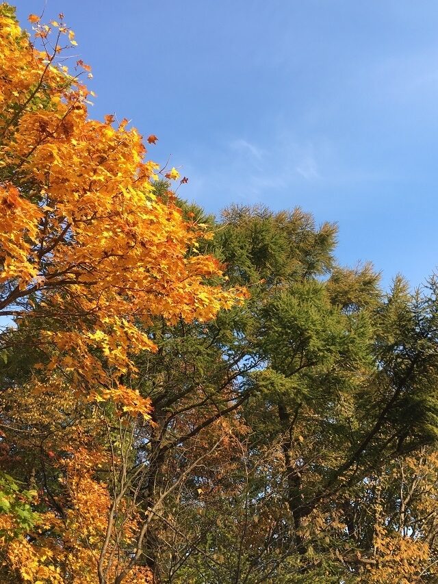 朝一番1