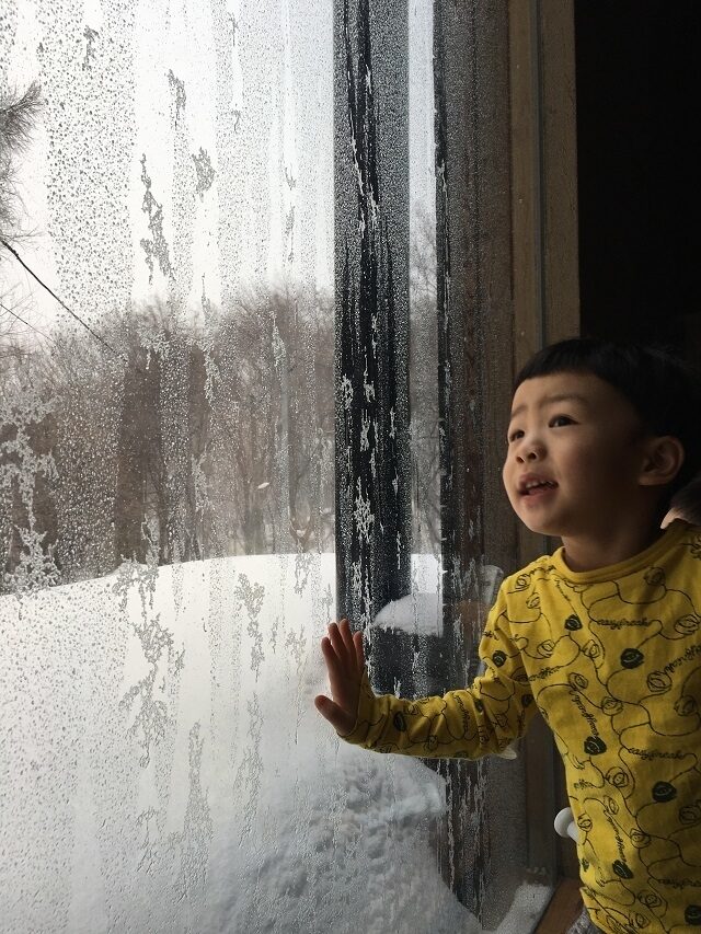 里のやよい2