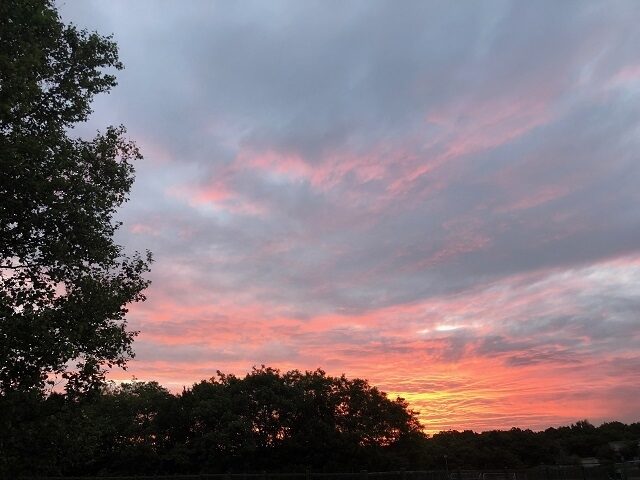 夏の贅沢6