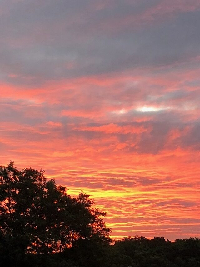 夏の贅沢7
