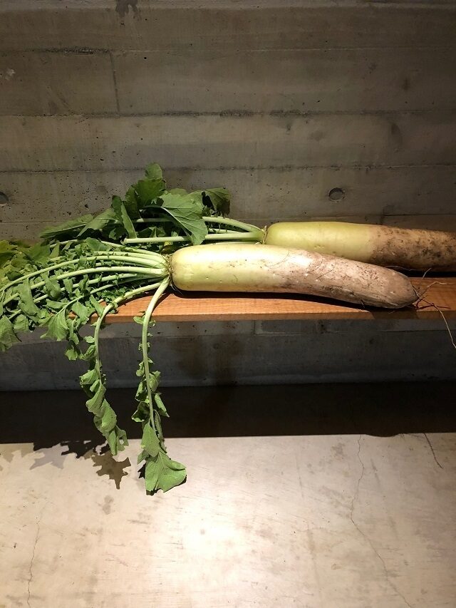 見てよし食べてよし7