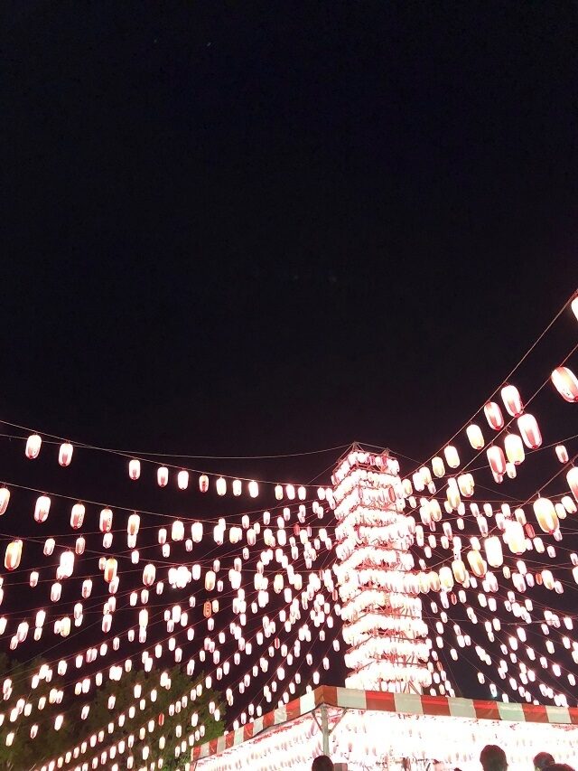 盛りだくさんです7