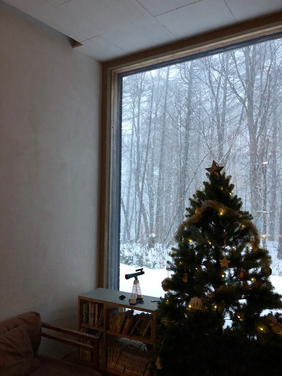 唐松の変化2024　雪とクリスマス